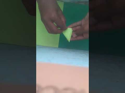 paper flower with hansika's amazing world