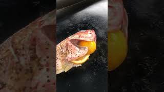 #blackstone #rockfish #grilling #fish #food #seafood #cooking