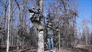 Moving for a shot, Saddles VS Tree stands