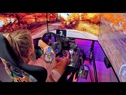 Rally Driver's Car Settings for Dirt Rally 2.0