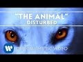 Videoklip Disturbed - The Animal s textom piesne