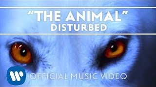 Disturbed The Animal