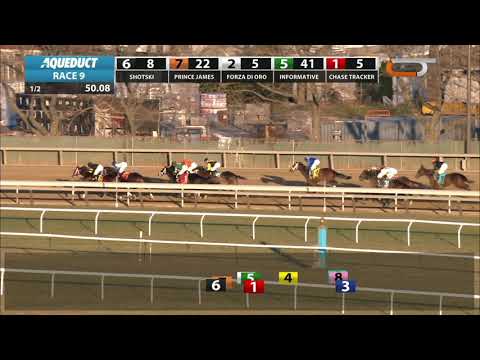 Shotski - 2019 - The Remsen en Espanol