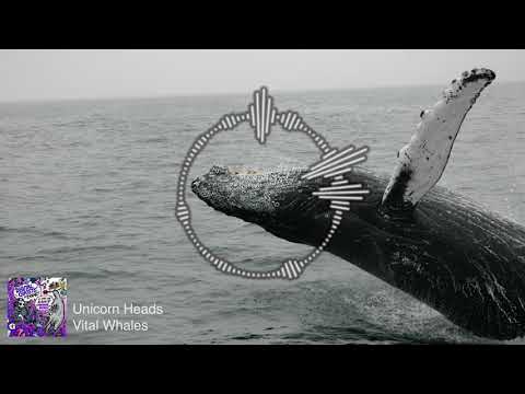 Unicorn Heads - Vital Whales