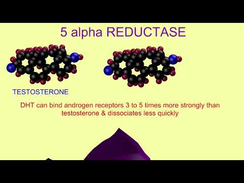 dihydrotestosterone & 5 alpha reductase