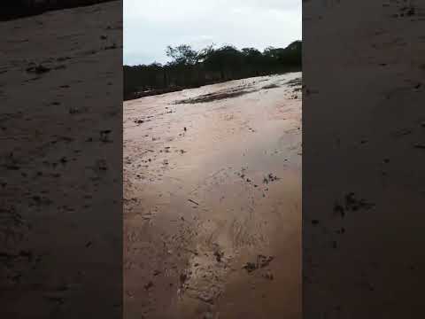 Chuva muito Boa em Cana Brava-BoaVista Do Tupim Bahia