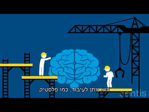 הסבר על הפלסטיות והגמישות של המוח שלנו