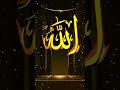 Allah Muhammad Wallpaper Animation