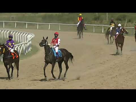 201217 c03 1° SANT ELIZABETH  SINT - FLORIDA