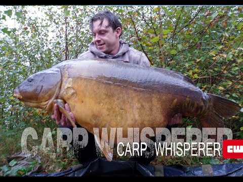 World record  carp non-pay lake #Carp Whisperer community