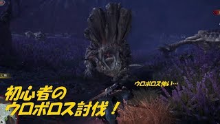 初心者がボルボロス討伐！　（実況プレイ＃２）