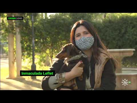 Consumo Cuidado | Viajar con tu perro