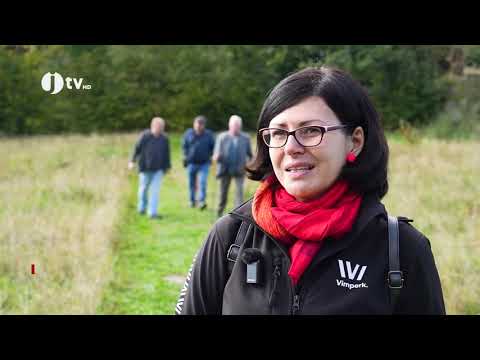 Vimperk a Freyung propojila nová turistická trasa ArchitekTúra