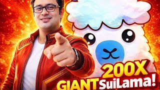 Suilama Platform Explained | Informational & Educational Review