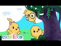 Chickie Hide Seek Peekaboo Achoo Canciones Infantiles Kids Songs Canticos