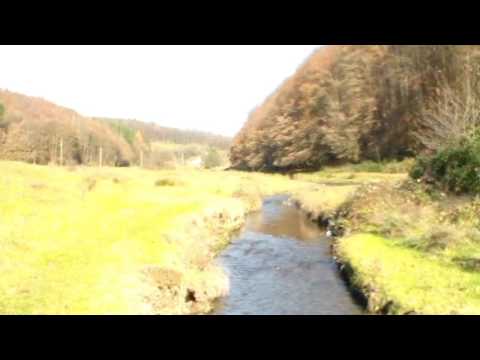 Bârzava Groșii Noi