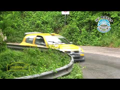 Rally Valdinievole 2019 Special Report Ancillotti Ancillotti The movie