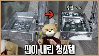 미친 성능의 신이 내린 대청소템 TOP3 l 내돈내산