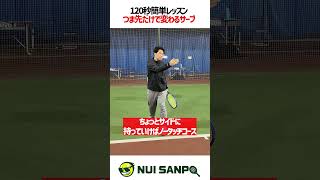 【忙しい人向けテニスレッスン】つま先だけで簡単にサーブは変わります〈ぬいさんぽテニス（Tennis）〉 #テニス #テニスレッスン #tennis #ぬいさんぽ