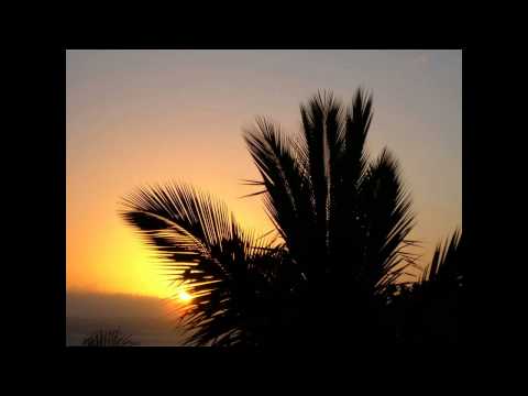 DJ SEBAK Boyzini Temperature Rmx Sega