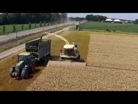 DOMAI MPD 611 - KRONE 1100 - Barra taglio diretto Triticale (2)