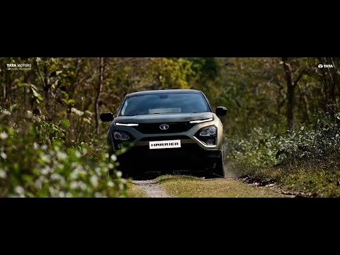 The #Untamed Harrier Kaziranga Edition I Ramesh Karmakar