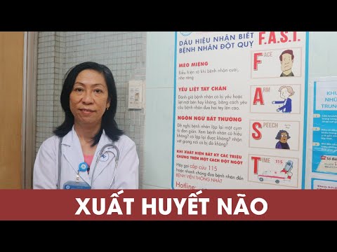 Cerebral hemorrhage: 80% of cerebral hemorrhages are caused by high blood pressure | How dangerou...