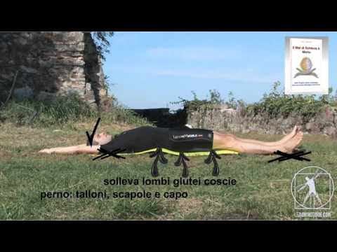 I prezzi di risonanza magnetica del ginocchio a Samara Ginnastica mattutina in video di osteocondrosi