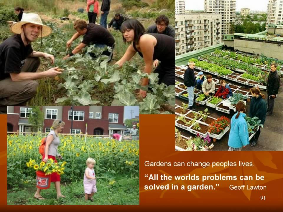 Intro to Permaculture 16 - Urban Permaculture