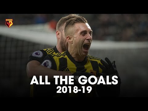 ALL THE GOALS ⚽ | PREMIER LEAGUE 2018-19