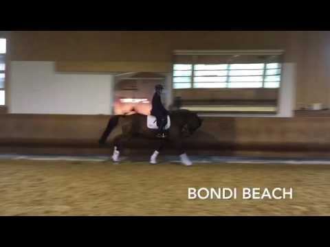 Betty training November 2016