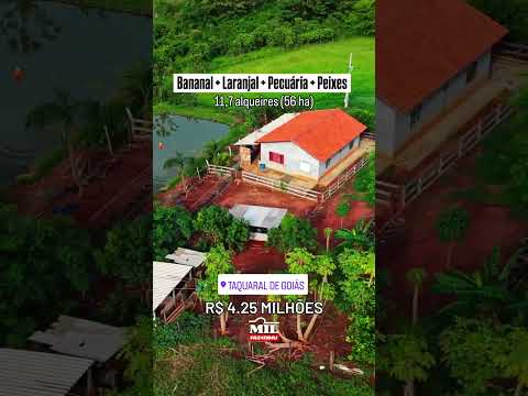 FAZENDINHA SUPERPRODUTIVA: Município de Taquaral de Goiás – GO #fazendaavenda #agro