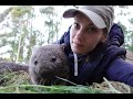 Wombat Cuddles