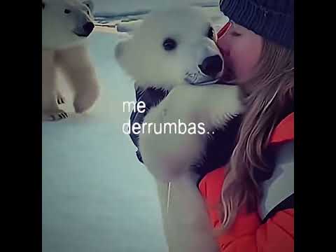 mother heroes.. #save #animals #foryoupage #youtubeshorts