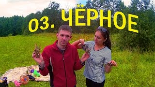 Ссылка
