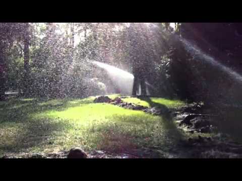 3 Versenkregner Rainbird 5004 Beregnungsanlage