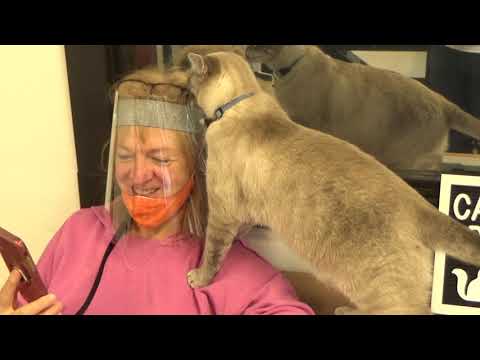 Catffeinated's North at his most affectionate