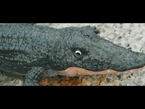2 4G RC crocodile Playing in the water