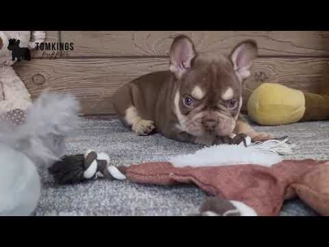 Video 1