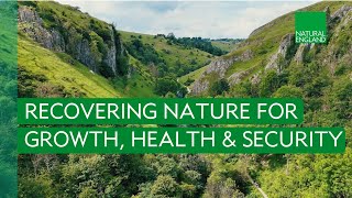 Download lagu Recovering Nature for Growth, Health and Security mp3