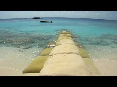 Coastal Erosion and Shoreline Protection