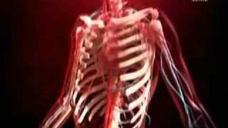 Discovery Channel Extrañas Formas de Morir-4(Por el Agua)1-2