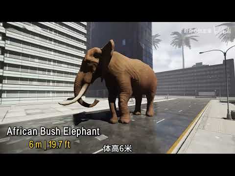 The Largest Elephant in History: A 3D Size Comparison