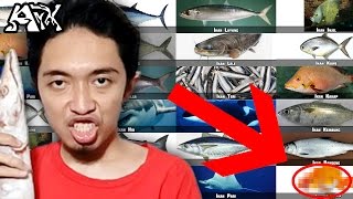 ♫ Yuk Para IKAN TONGKOL, Nyanyi Jenis2 Ikan! - ArmanArX