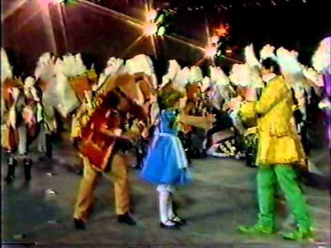Palmyra String Band 1983 - Through The Looking Glass