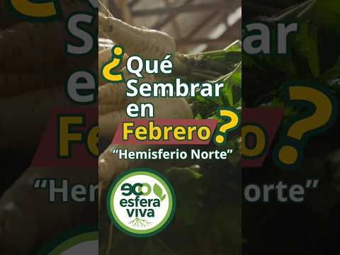 February Garden Prep: Northern Hemisphere Planting Guide