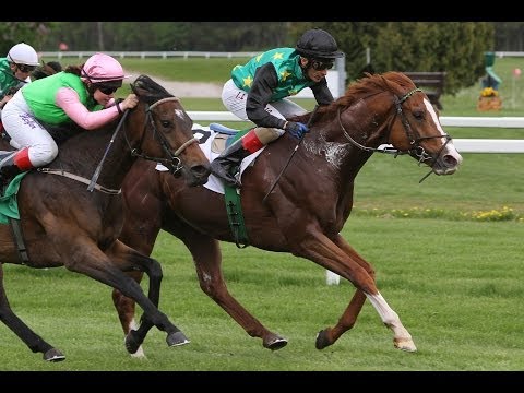 München: Otto-Gervai-Rennen (D) - Sieger: Simba