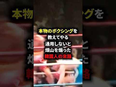 本物のボクシングを教えてやる通用しないと畑山を煽った韓国人の末路#格闘技