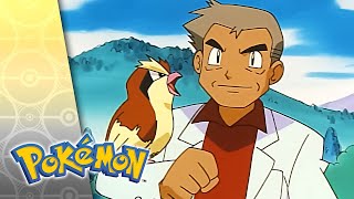 Thumbnail del capítulo