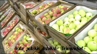 MFGU-Jedz polskie jabłka Rap (bit: AUDIOPHONE)